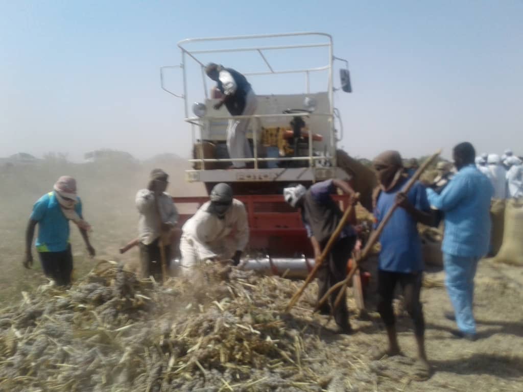 السودان :وكيل الري ..مستعدون لري (800)الف فدان من القمح بمشروع الجزيرة