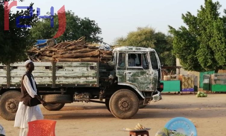 السودان: مطالبة بتدخل الشرطة العسكرية لحماية الغابات من القوات النظامية