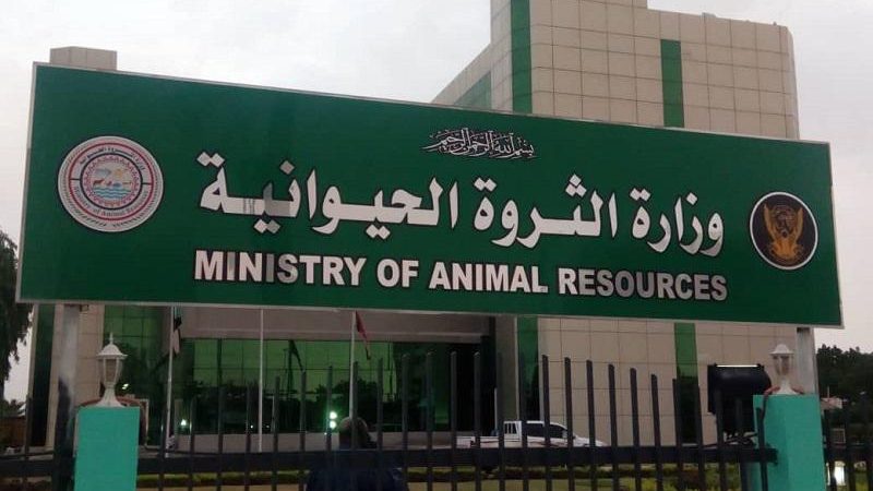 وزير الثروة الحيوانية يتعهد بتوفير الأدوية لتحسين النسل