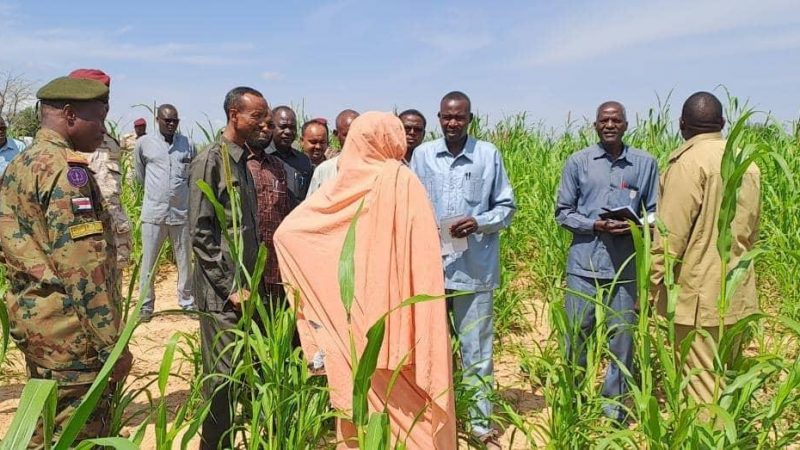 نائب والي غرب دارفور:حماية الموسم الزراعي من أولويات حكومة الولاية