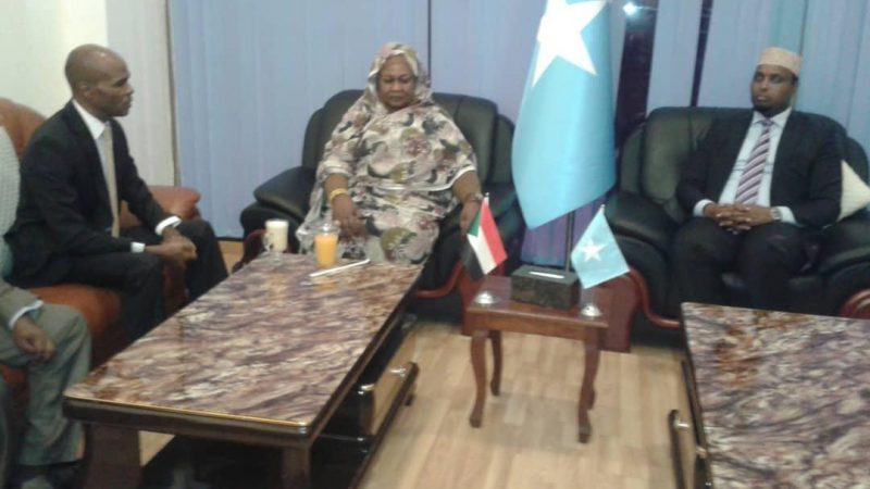 الاستثمار تؤكد على تطوير العلاقات بين السودان والصومال