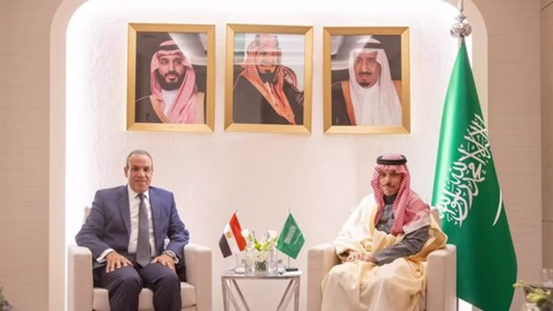مصر والسعودية تدعوان لهدنة إنسانية تمهيداً لوقف النار في السودان